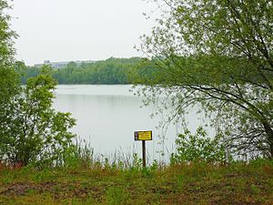 Elsensee Berlin 860-742- (118) .jpg