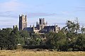 Ely Cathedral from Middle Fen Bank D.jpg