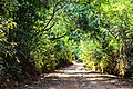 Estrada em Ibirité para a Serra do Rola Moça.jpg