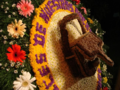 Festival of the Flowers in Medellín, Antioquia.