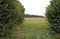 Field off Peartree Lane - geograph.org.uk - 1364003.jpg