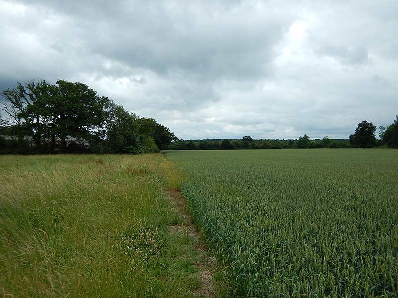 File:Fields near Meadow Lane Farm - geograph.org.uk - 5442508.jpg