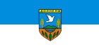 Flag of Dolneni Municipality.svg