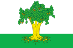 Flag of Kaibitsky rayon (Tatarstan).png