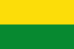 Bandera de Vichada