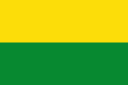 Tập tin:Flag of Vichada.svg