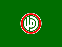 Flag of the Amal Movement.svg