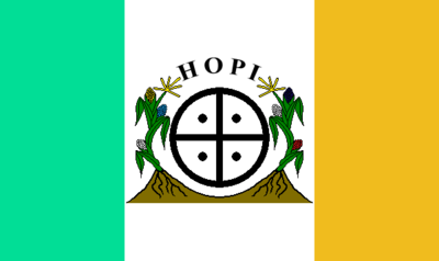 A variant of the flag with a green stripe instead of turquoise.