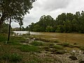 Flood waters slowly receding in the Murrumbidgee River in Wagga Wagga.jpg