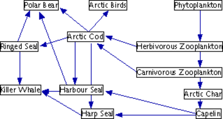 Tập_tin:Foodweb.png