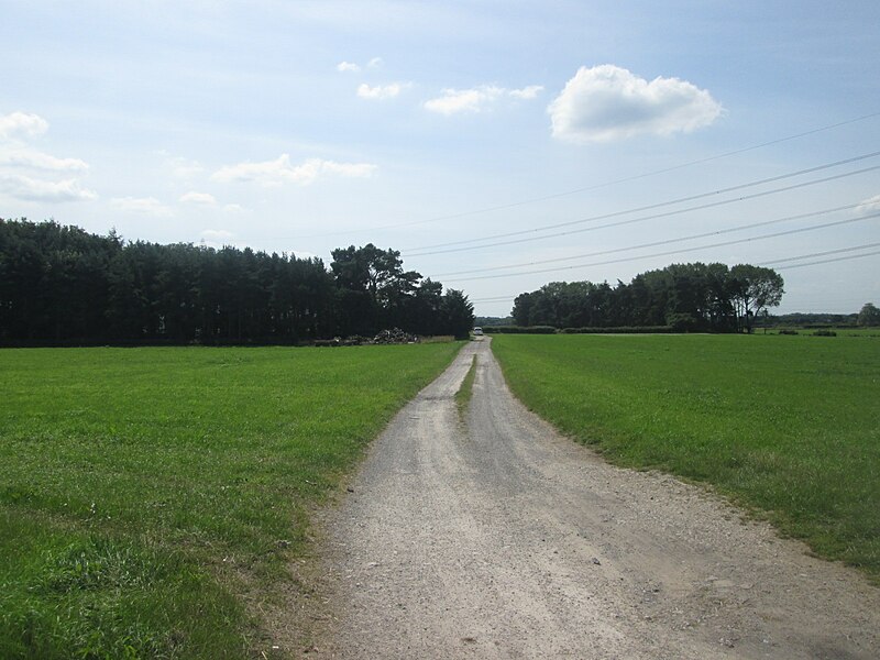 File:Footpath towards Keeper's Plantation and Haverwits Cottages - geograph.org.uk - 5468652.jpg