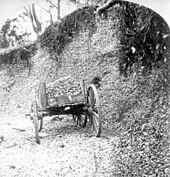 Foto in bianco e nero di un cumulo di conchiglie di ostriche, alto circa 20 piedi, coperto da rampicanti in alto e al centro esposto.  Di fronte c'è una carriola di legno.