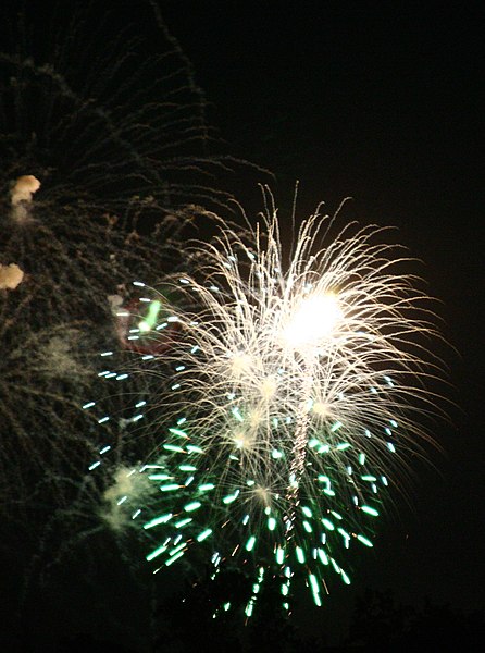 File:Fourth of July Fireworks (3692294874) (2).jpg