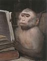 The reading ape