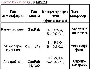 Факультативно анаэробная микрофлора что это 11