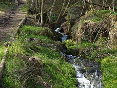 Gelobtbachtal, údolí Klopotského potoka - panoramio (46).jpg