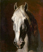 Tête de cheval blanc, 1815