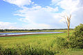 A long view of the pond