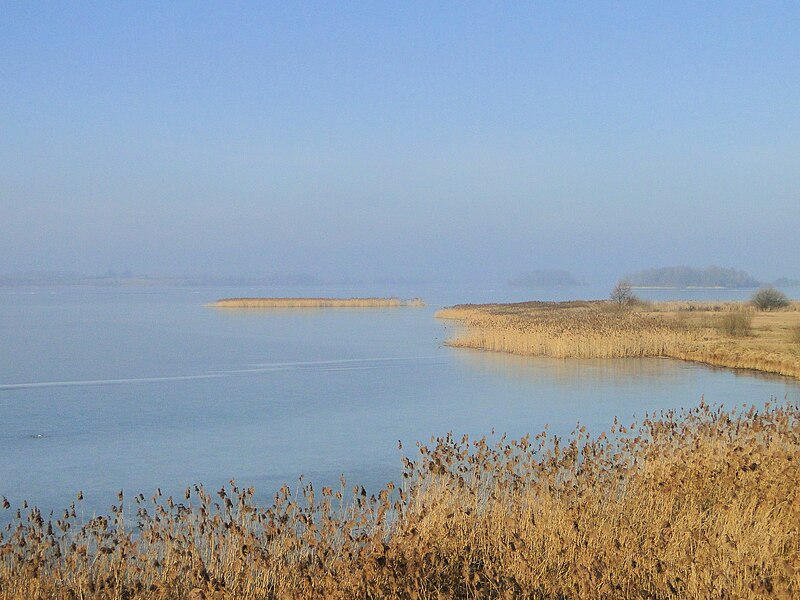 File:Glave NSG Krakower Obersee vom Aussichtsturm 2011-03-03 188.JPG