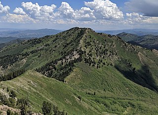 <span class="mw-page-title-main">Gobblers Knob (Utah)</span> Mountain in the American state of Utah