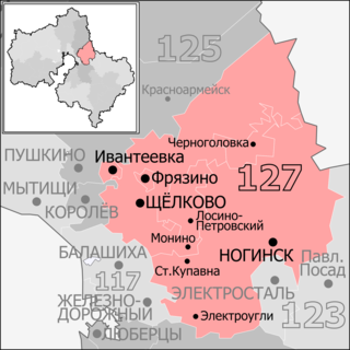 <span class="mw-page-title-main">Shchyolkovo constituency</span> Election constituency in Moscow Oblast, Russia