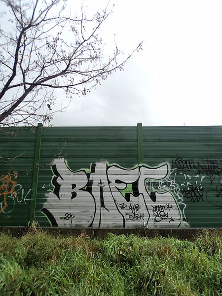 File:Graffiti nel quartiere La Rustica (Roma) 47.JPG