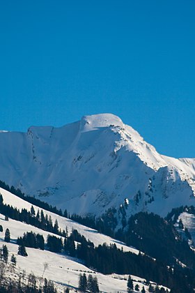 Le Gros Perré.