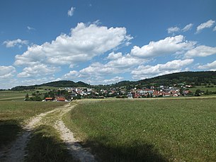 Grünbach von Südwesten