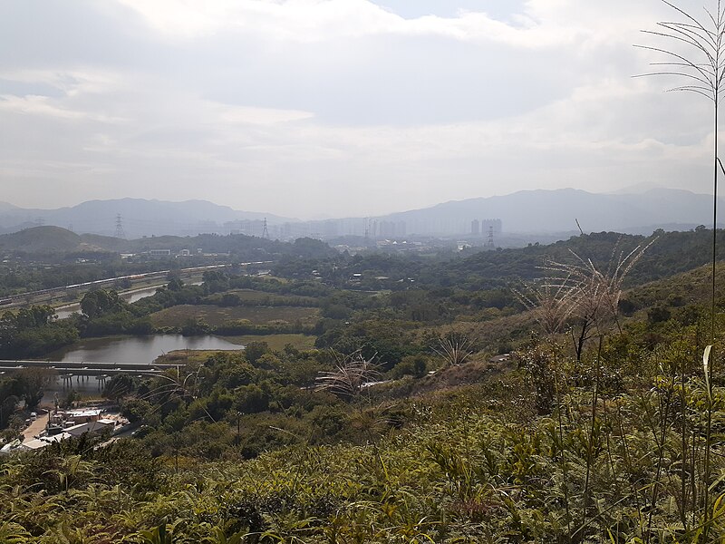 File:HK North District Hiking 大石磨 Tai Shek Mo hill mountain November 2020 SS2 06.jpg