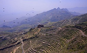 Jabal Haraz terraces