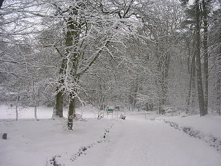 <span class="mw-page-title-main">Hazlehead Park</span>