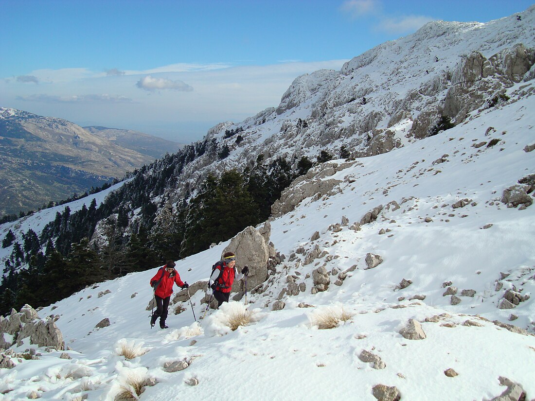 Monte Hélicon