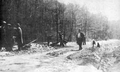 File:Highway 35 construction at Hall's Lake, 1934.png