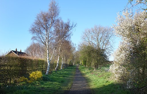 Hornsea Rail Trail at Whitedale (geograph 6121809)