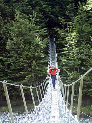 <span class="mw-page-title-main">Hiking in New Zealand</span> Recreational activity involving walking over rough country