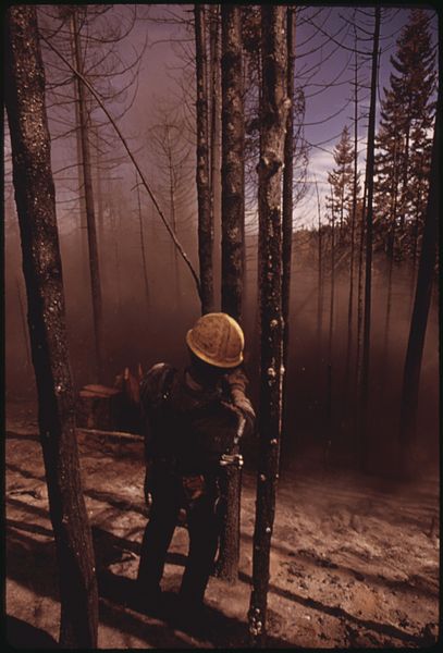 File:IN AUGUST, 1973 A MAJOR FOREST FIRE SWEPT THROUGH 17,470 ACRES OF THE WESTERN SLOPES OF THE SIERRA MOUNTAIN RANGE... - NARA - 553598.jpg
