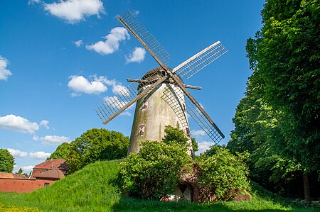 Immerather Windmühle 2011