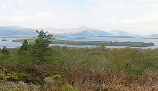 <span class="mw-page-title-main">Loch Lomond National Nature Reserve</span> A nature reserve in Scotland
