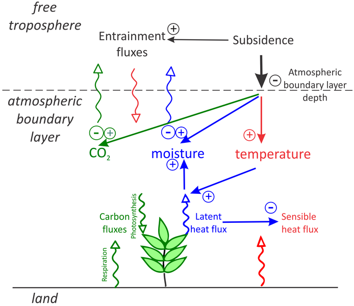 File:Interactions-between-the-carbon-green-water-blue-and-heat-red-cycles-in-the-coupled-landABL-system.png