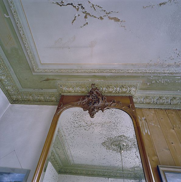 File:Interieur voorkamer, gedeelte stucplafond en wandspiegel met decoratie - Leens - 20335763 - RCE.jpg