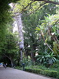 Thumbnail for Botanical Garden of Valencia