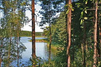 Lake Zyzdrój Wielki
