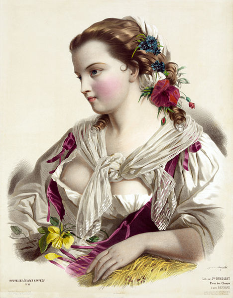 File:Joséphine Ducollet, Fleur des champs, after Bernard, ca. 1856.jpg