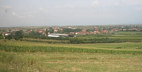 Brocca Bogdanovac