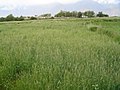 Kaldaq Khaplu - panoramio.jpg