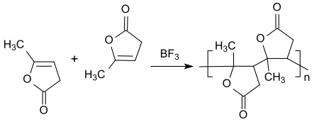 Cationic polymerization of α-angelicalactone