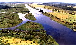 Kissimmee Nehri kanalı section.jpg