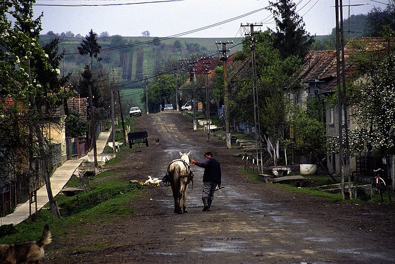 File:Kloten Utca, Nadişu, Romania.jpg