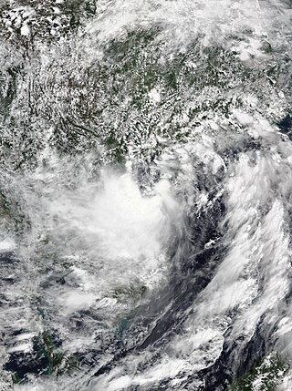 <span class="mw-page-title-main">Tropical Storm Koguma</span> Pacific tropical storm in 2021