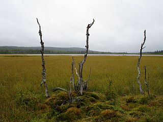 Stöttingfjället